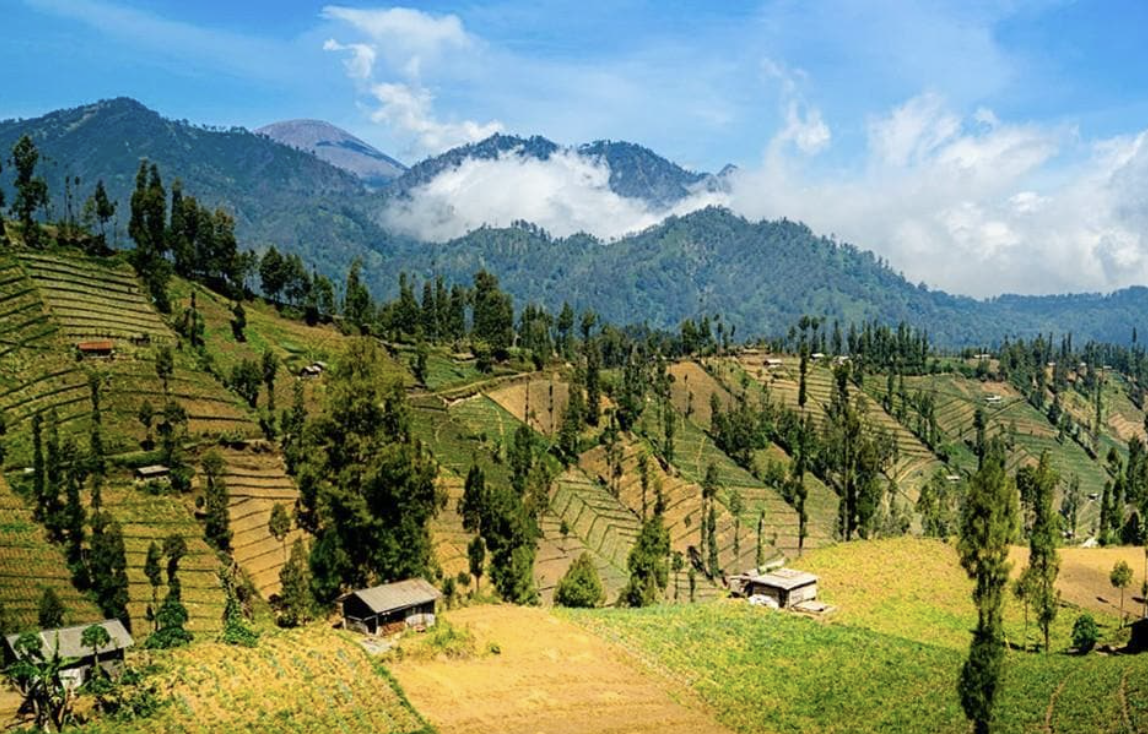 Ngadas Village