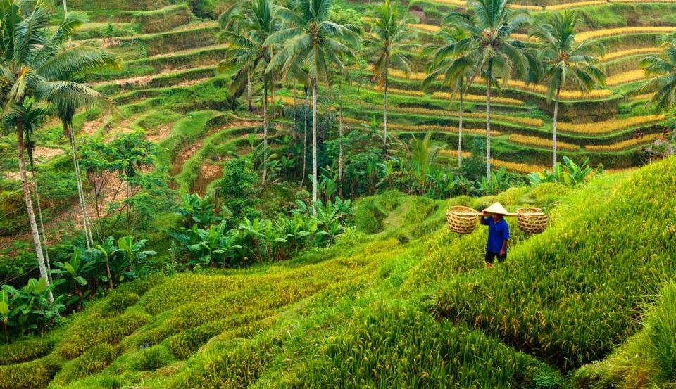 Authentic trip to Bali