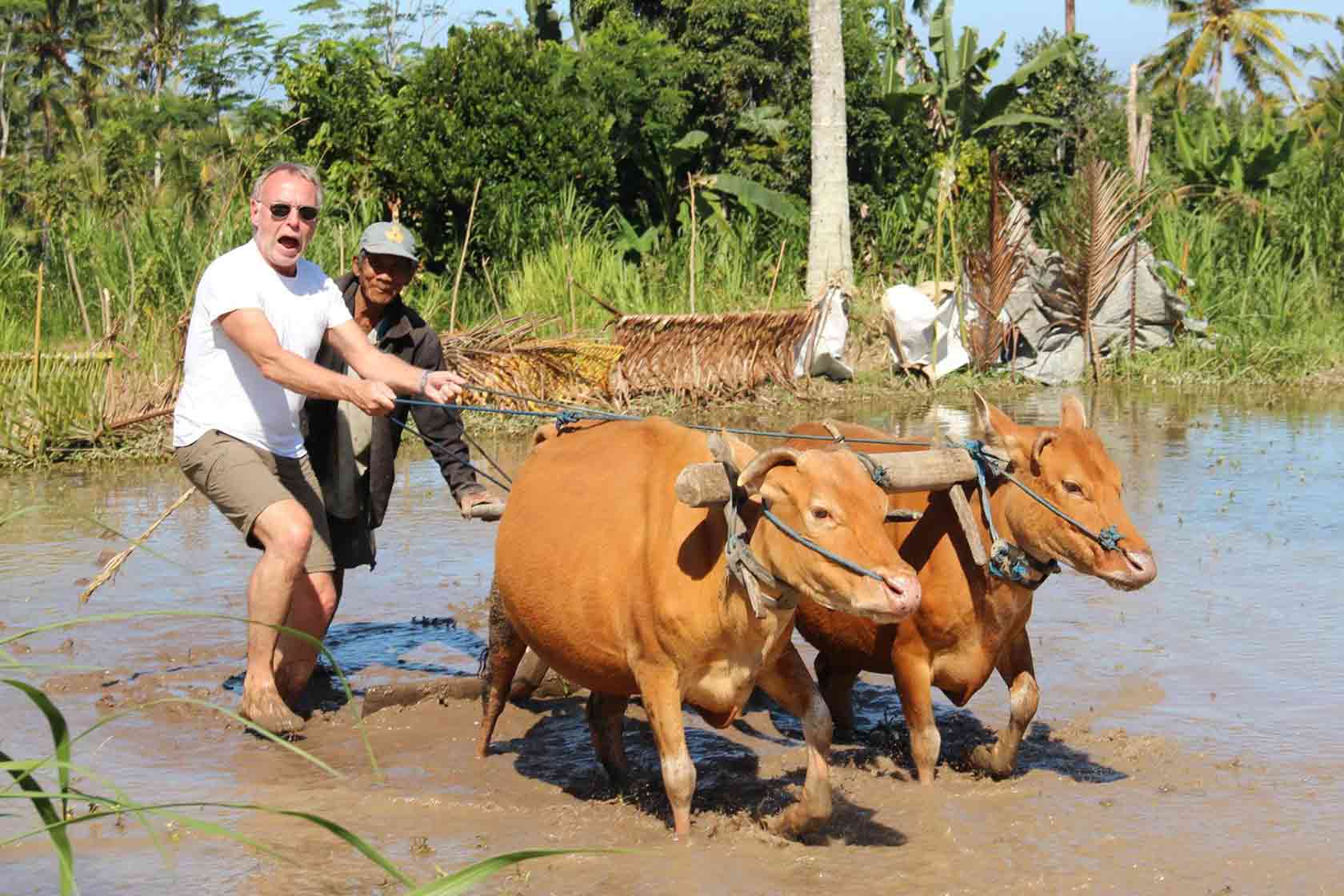 Day 2: Bangli Rural Balinese Life & Farming, and Cooking Class - with English Local Guide