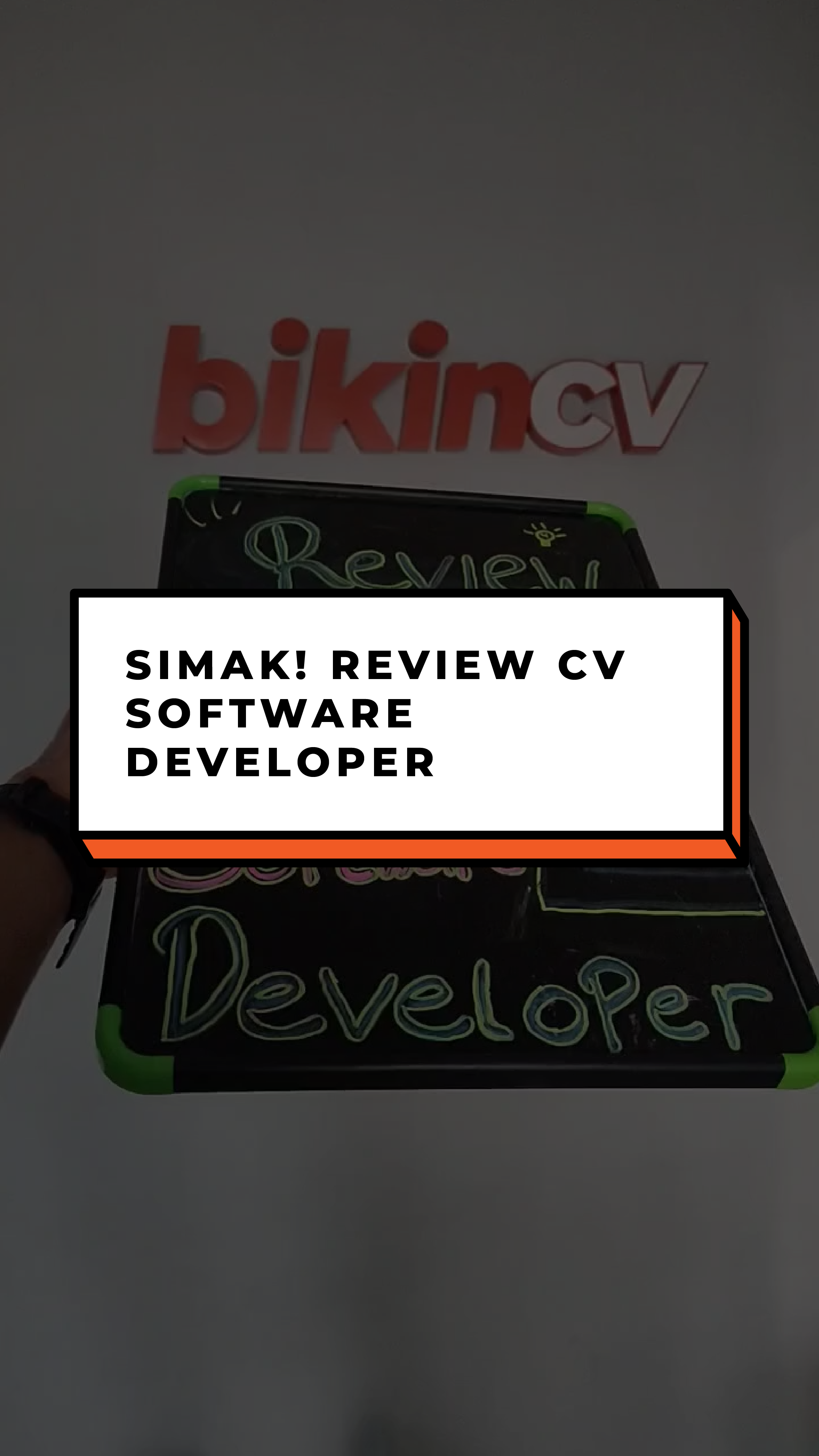 Review CV Software Developer