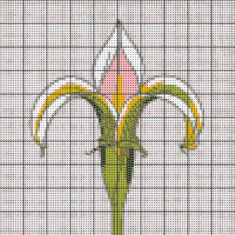 Aperçu du motif