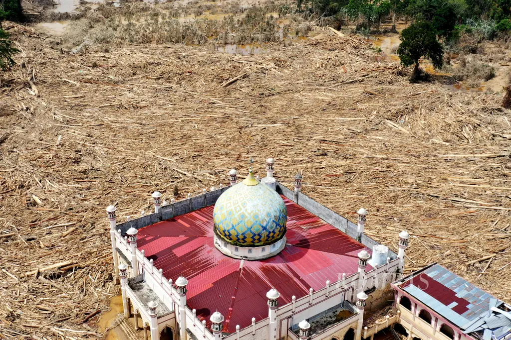 Kayu Gelondongan Menumpuk Di Kawasan Pondok Pesantren Darul Mukhlishin