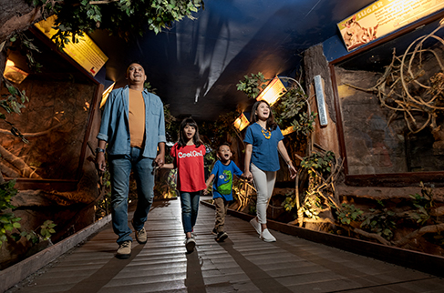 Nocturnal Tritone Batu Secret Zoo Jawa Timur Park