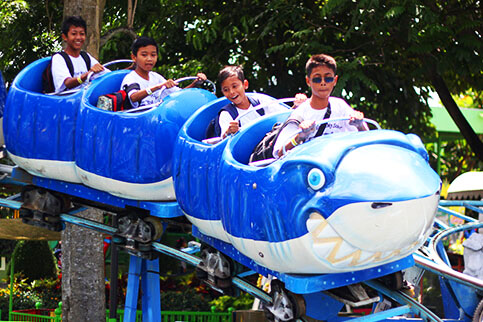 Shark Coaster Batu Secret Zoo Jawa Timur Park