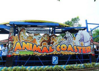 Animal Coaster Batu Secret Zoo Jawa Timur Park