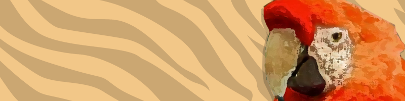 Button Maps Batu Secret Zoo Jtp 2