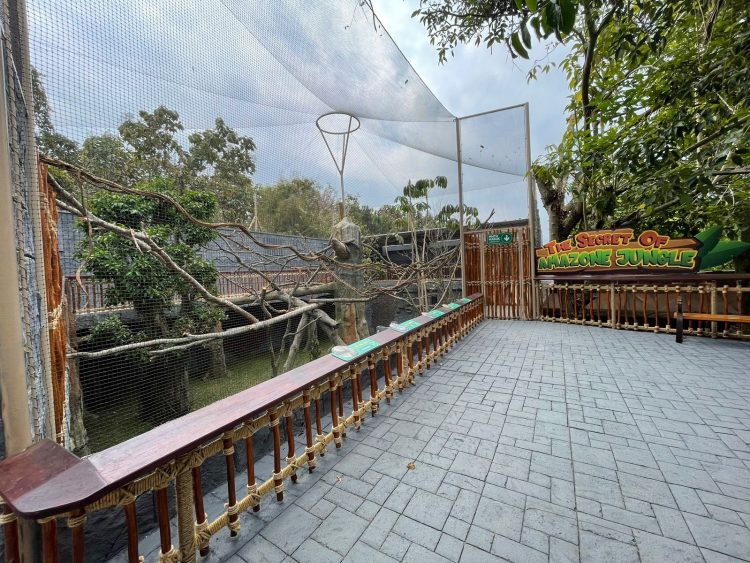 The Secret Of Amazon Jungle