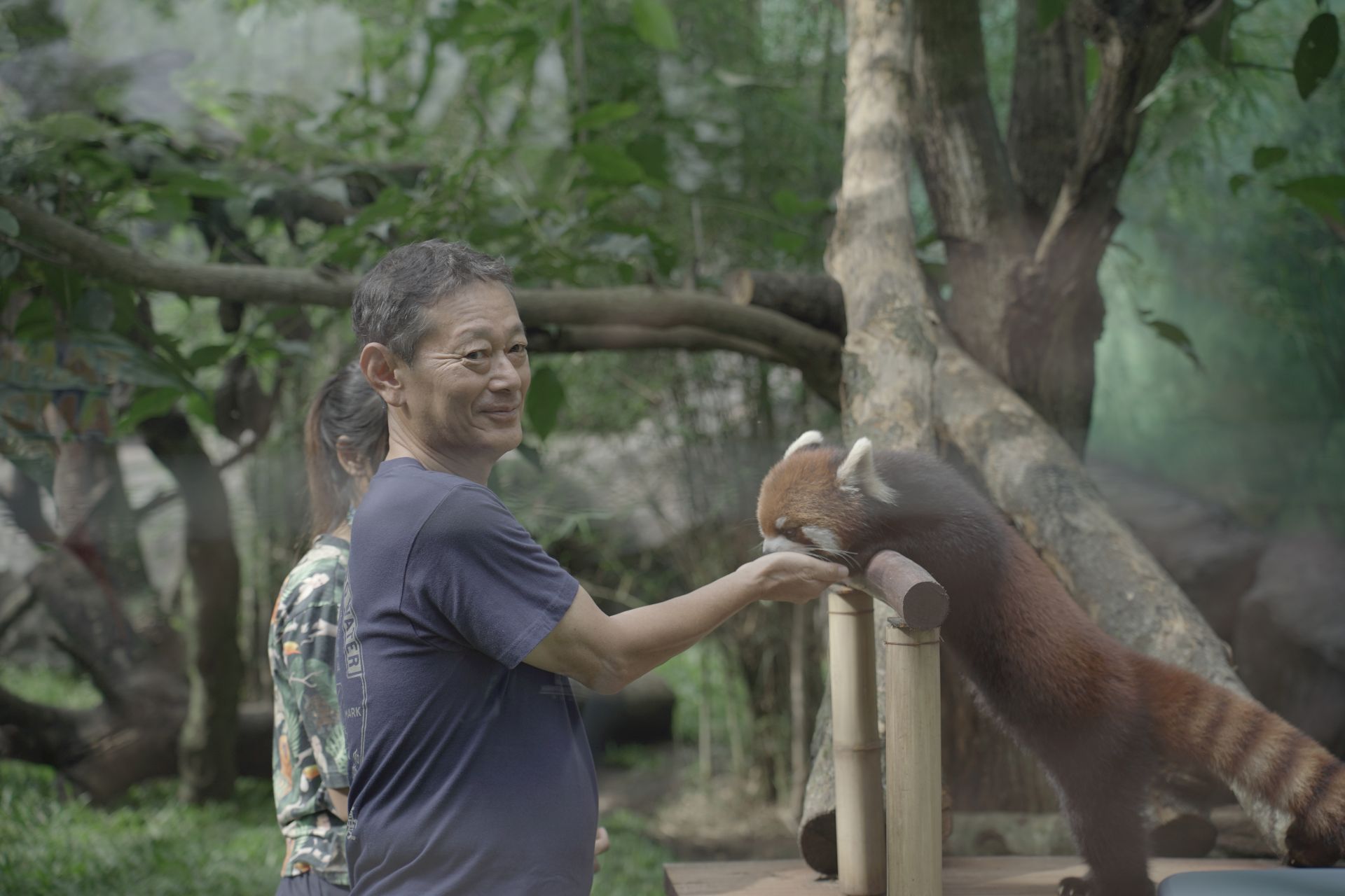 Mr. Takeyama Kenichi Bermain Dengan Red Panda Di Batu Secret Zoo, Jawa Timur Park Group