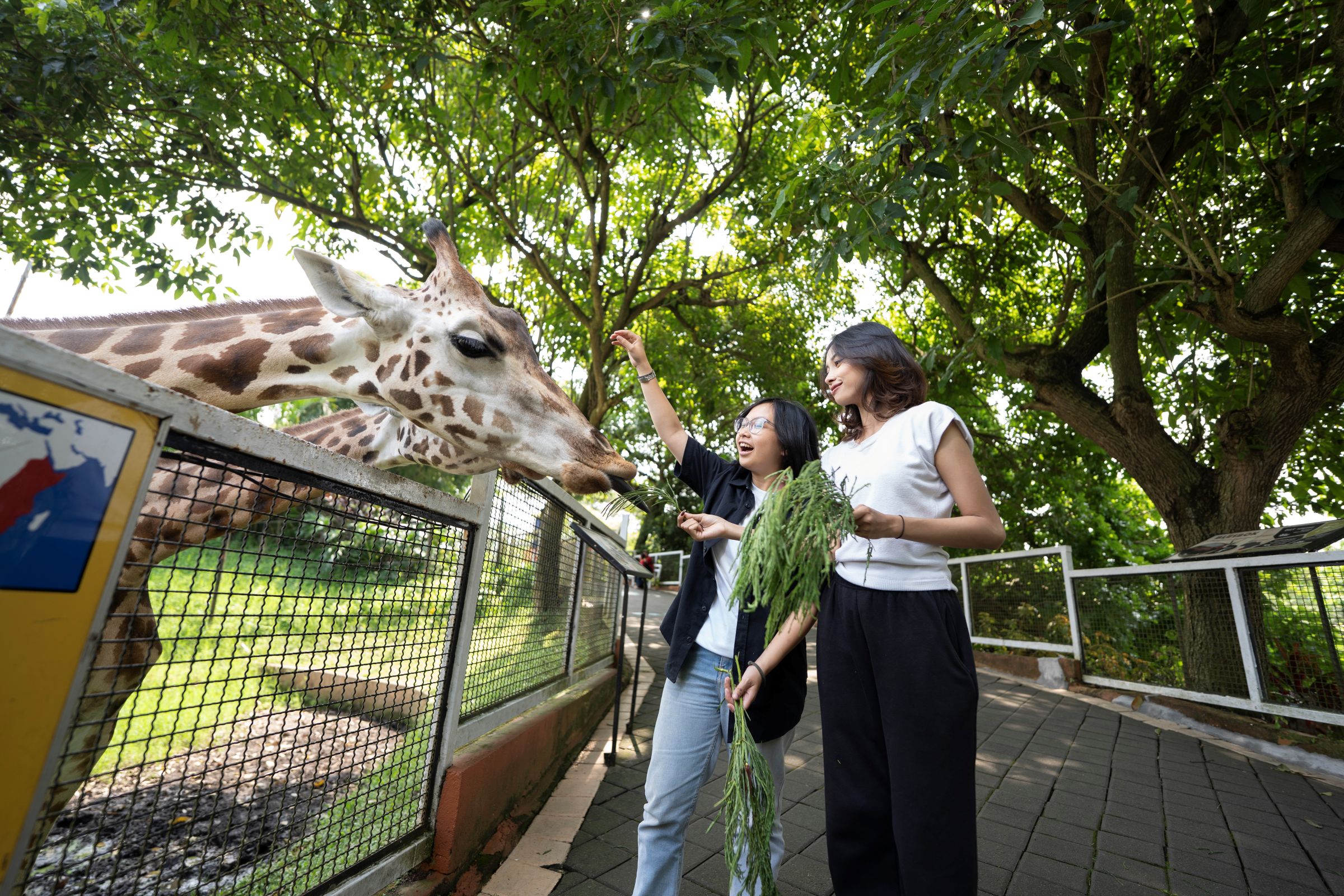 Paket Jatim Park Secret Zoo Museum Satwa 1 hari Shakran Tour