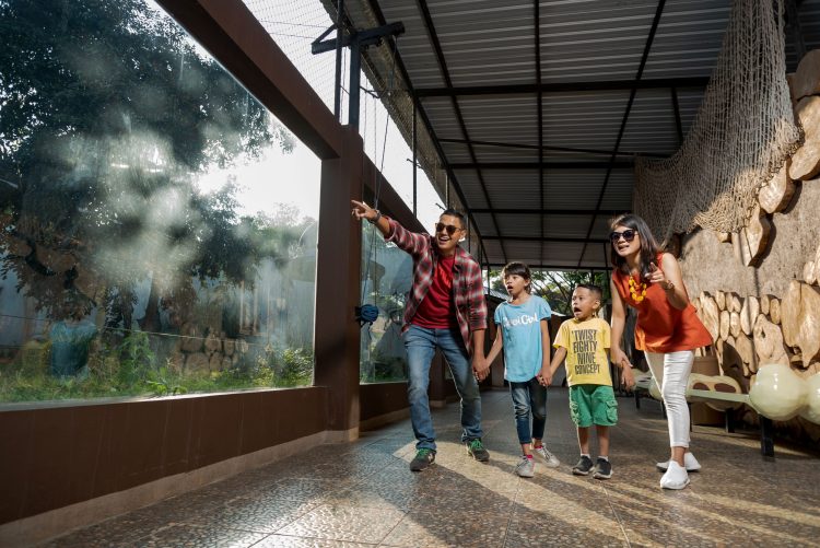 Tiger Land, Mengenal Harimau Dari Berbagai Belahan Dunia Di Batu Secret Zoo