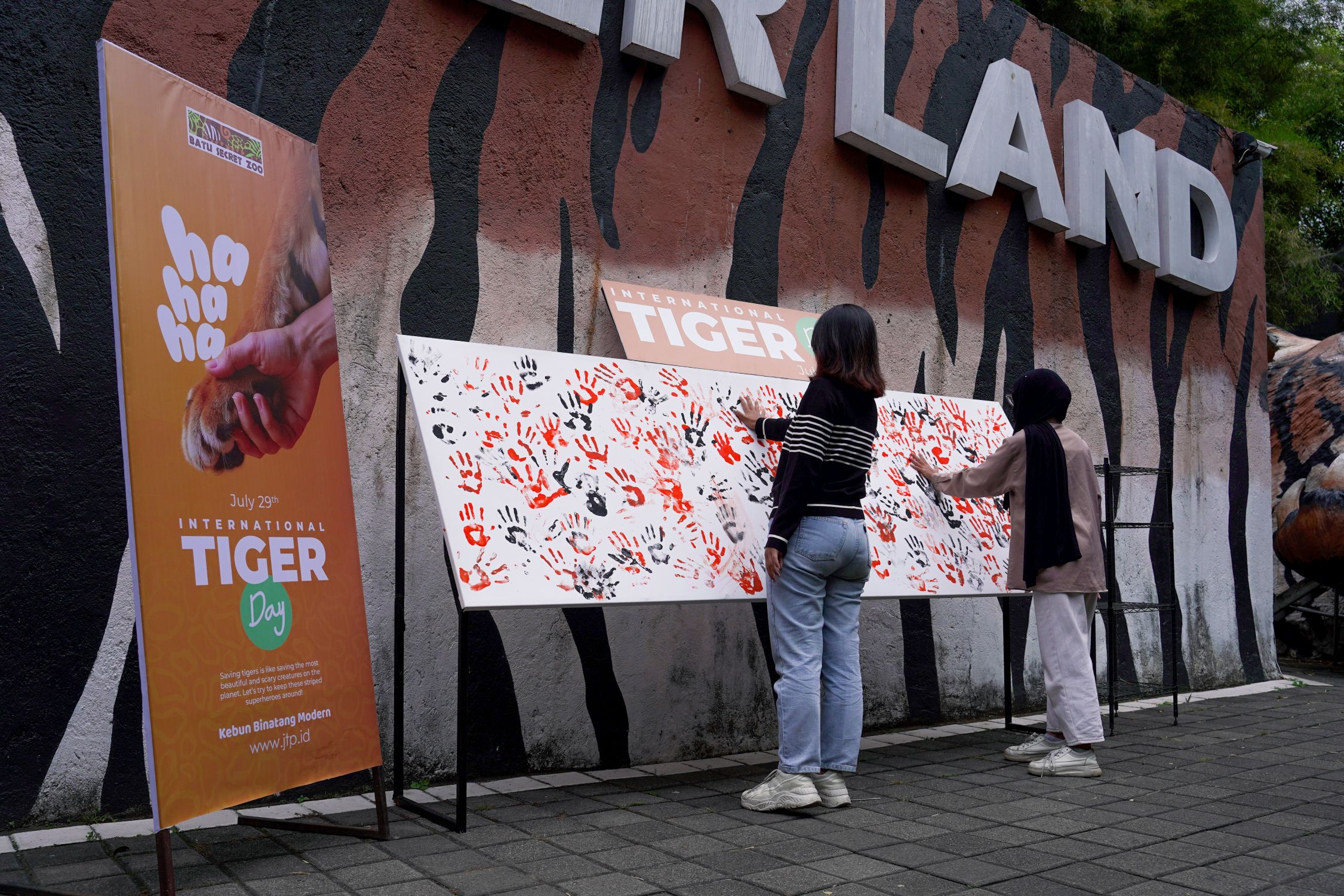 Tiger Land Juga Menjadi Rumah Bagi Beberapa Jenis Macan Yang Berasal Dari Berbagai Wilayah