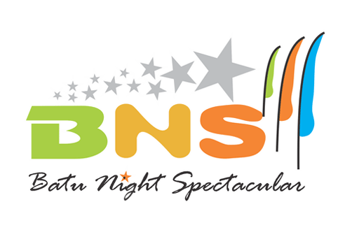 Logo BNS