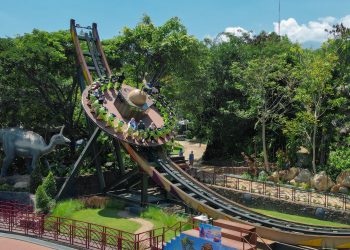 Raptor Spinner Dino Park