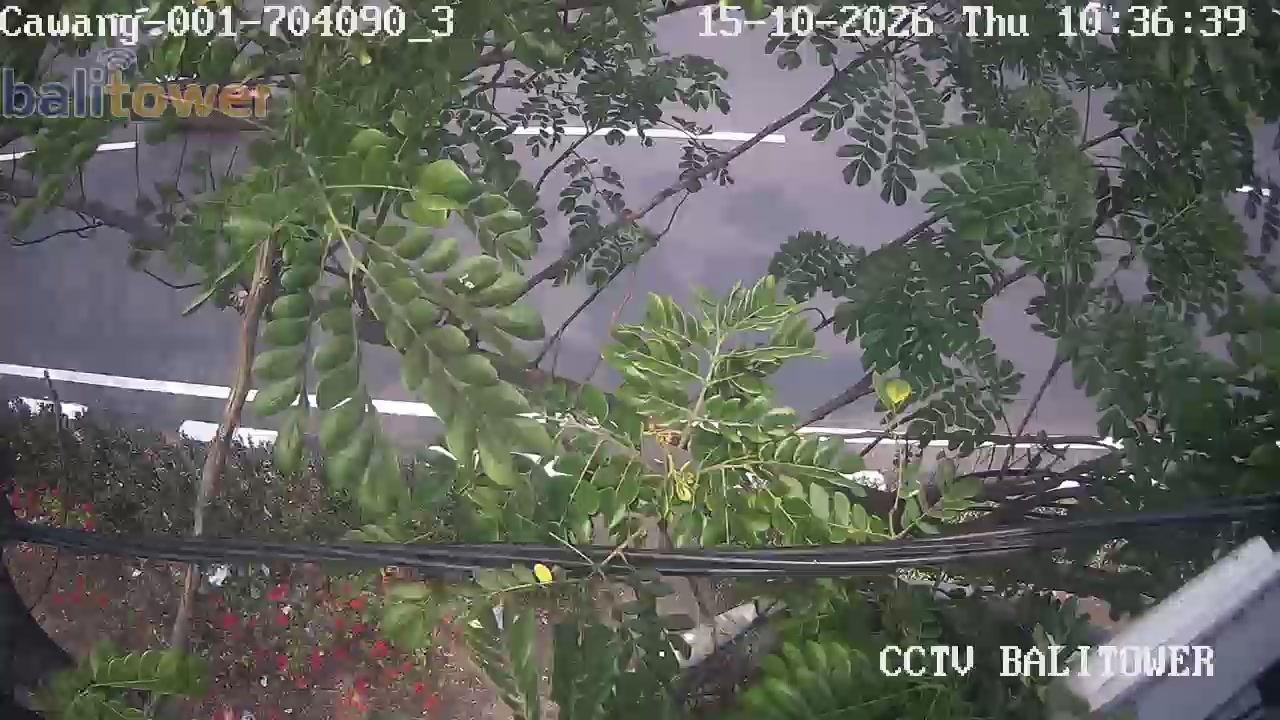Cawang 005 - Jl. Mayor Jenderal Sutoyo (Di Tengah Median Jl. Seberang Halte Kampus Uki)