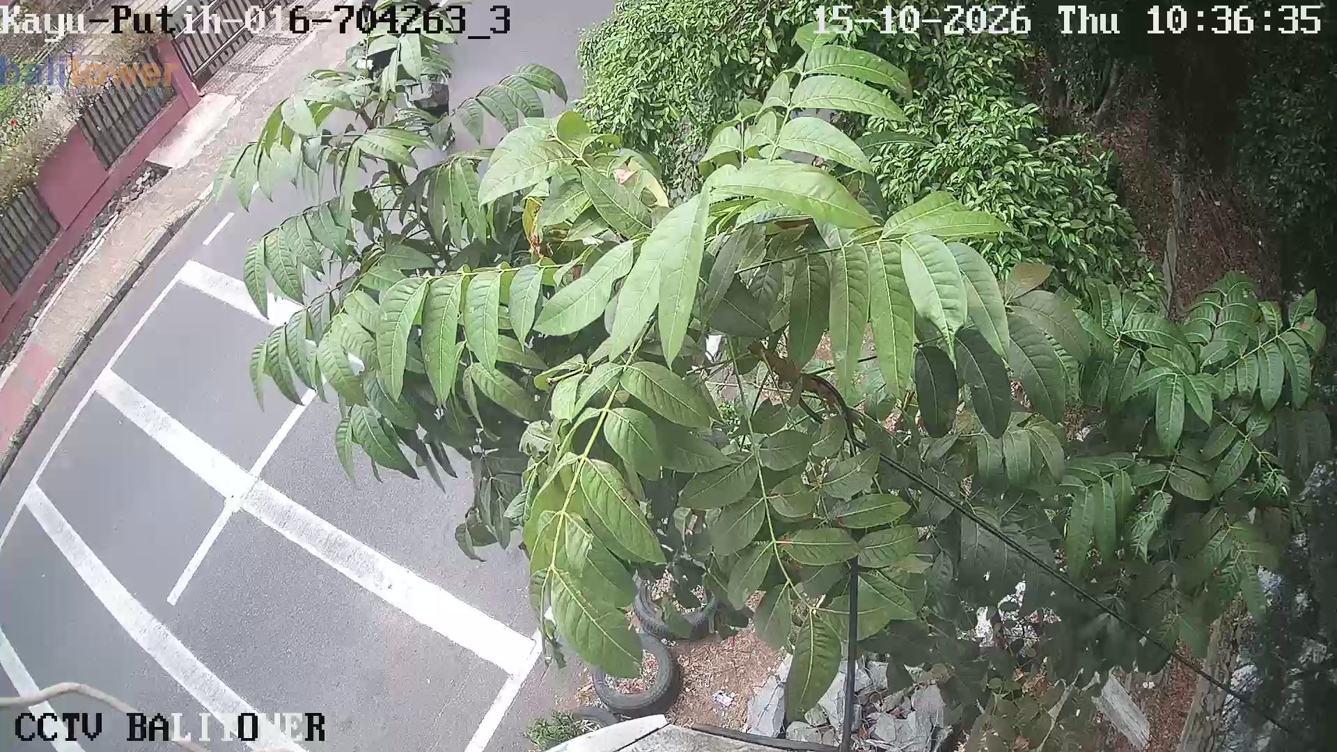 Kayu Putih 004 - Jl. Bangunan Timur Sebrang Rmh No. 12, Kayu Putih