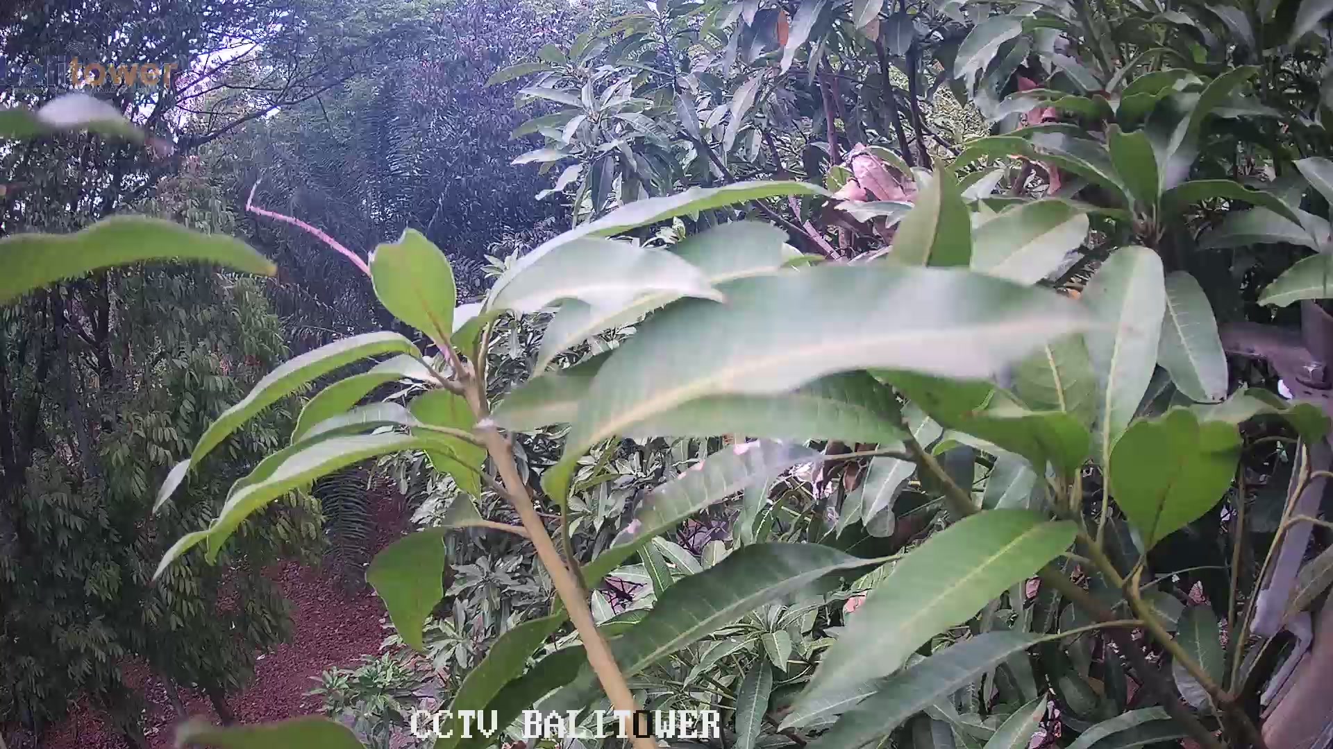 Kayu Putih 014 - Jl. Pacuan Kuda Raya