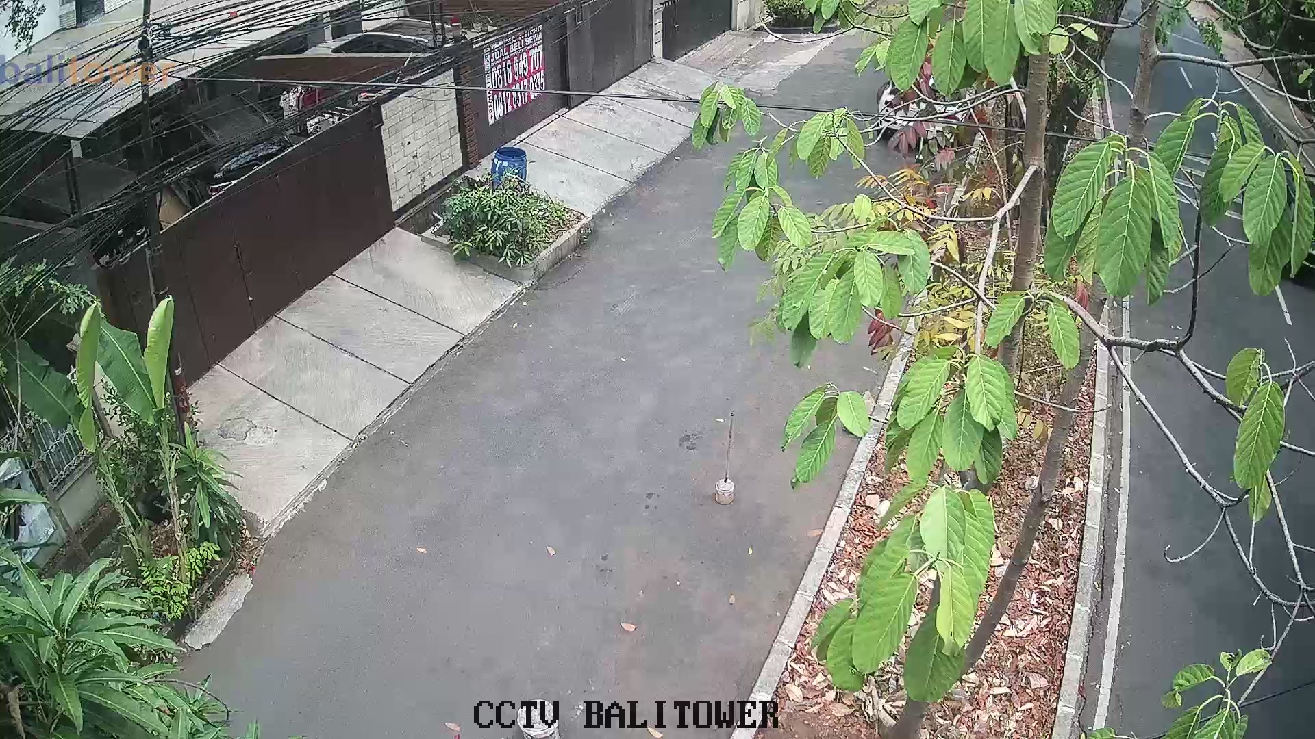 Kayu Putih 016 - Jl. Pacuan Kuda Raya
