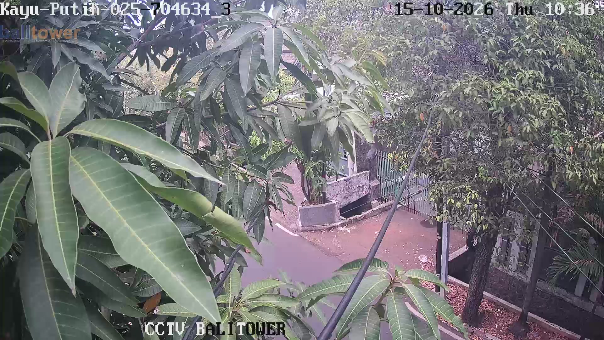 Kayu Putih 025 - Jl. Sirap Pertigaan Jl. Angkur, Kayu Putih