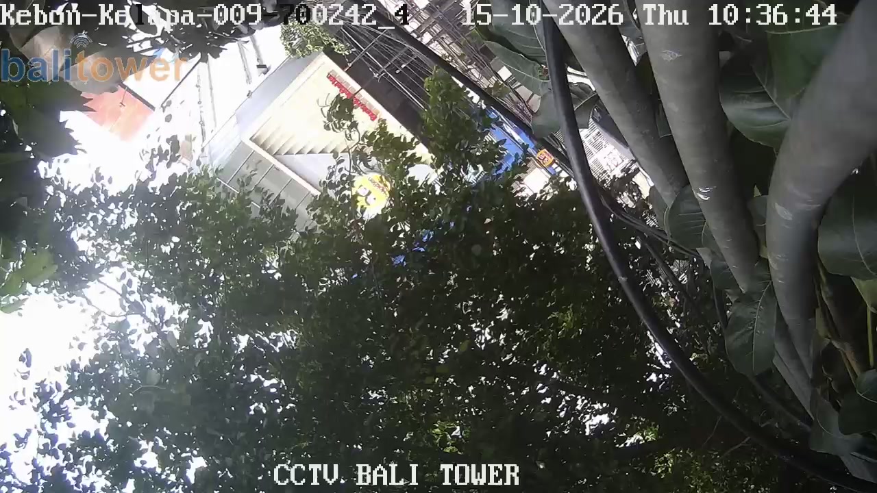 Kebon Kelapa 011 - Jl. Pencenongn raya Kel.Kebon kelapa - Kec.Gambir - Jakarta pusat