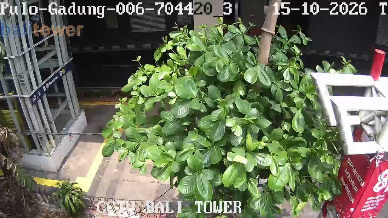Pulo Gadung 009 - Jl. Kayu Putih Tengah Pertigaan Jl. Kayu Putih Raya
