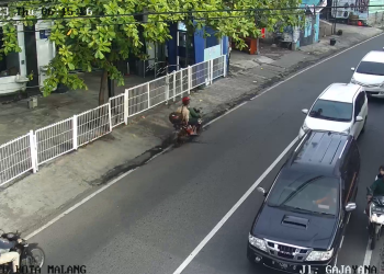 Cctv Jl. Gajayana Arah Utara (sardo)