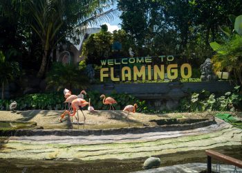 Flamingo Eco Active Park