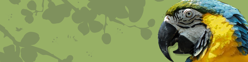 Button Pembelian Home Jtp 2