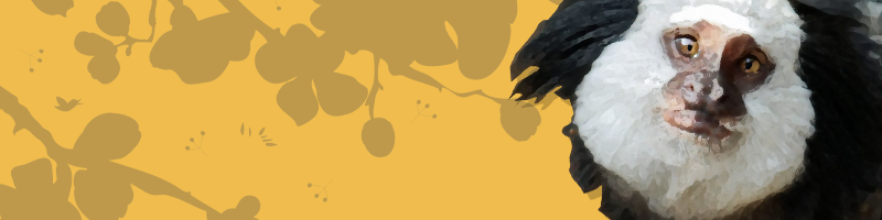 Button Tiket Home Jtp 2