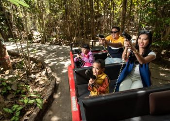Sensasi Main Ke Hutan Burung Di Zona Jungle Adventure Cuma Di Eco Green Park