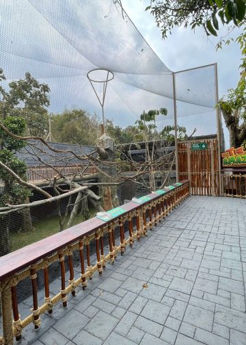 The Secret Of Amazon Jungle