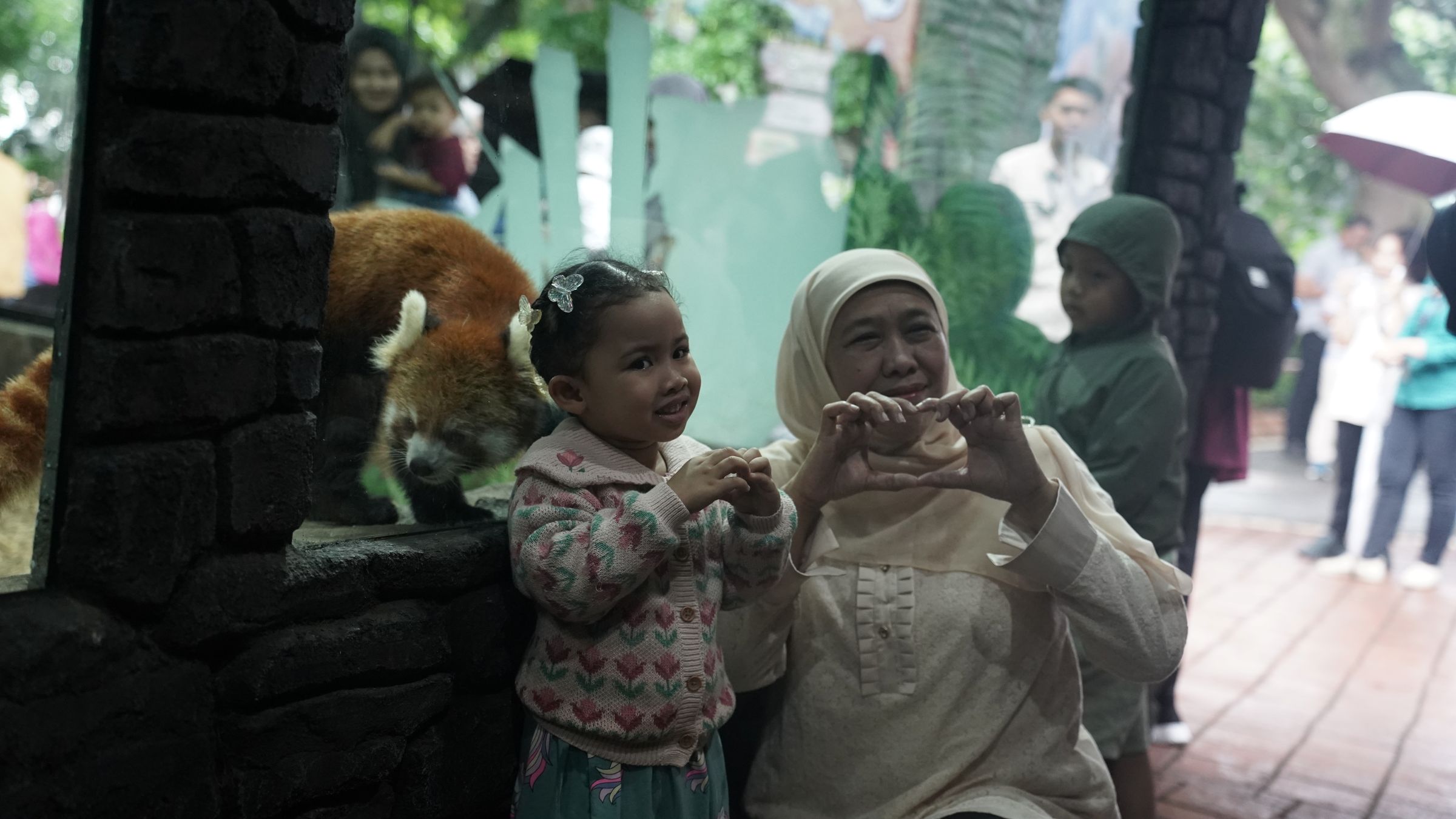 Ibu Khofifah Melakukan Kunjungan Ke Drive Thru Park Dan Juga Melihat Koleksi Satwa Baru Batu Secret Zoo, Red Panda