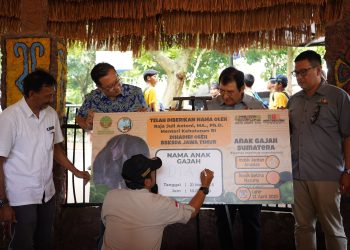 “Diah” Adalah Nama Yang Diberikan Oleh Menteri Kehutanan Republik Indonesia, Bapak Raja Juli Antoni, Ma., Ph.d.