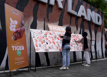 World Tiger’s Day 2025 Human, Harimau, Harmony