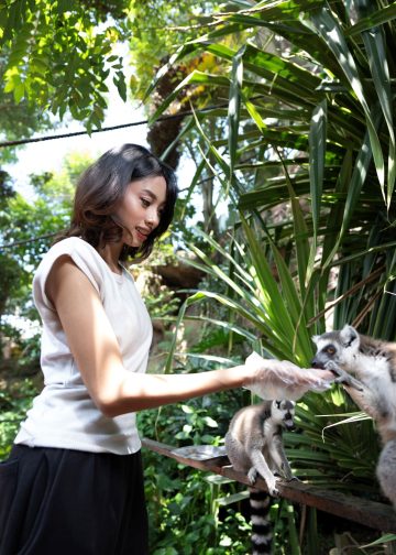 Lemur Kingdom, Pengalaman Bertemu Lemur Batu Secret Zoo Jatim Park 2