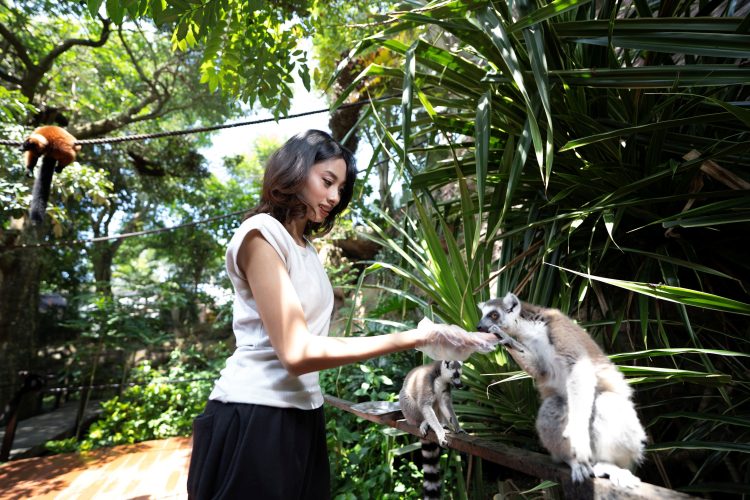 Lemur Kingdom, Pengalaman Bertemu Lemur Batu Secret Zoo Jatim Park 2