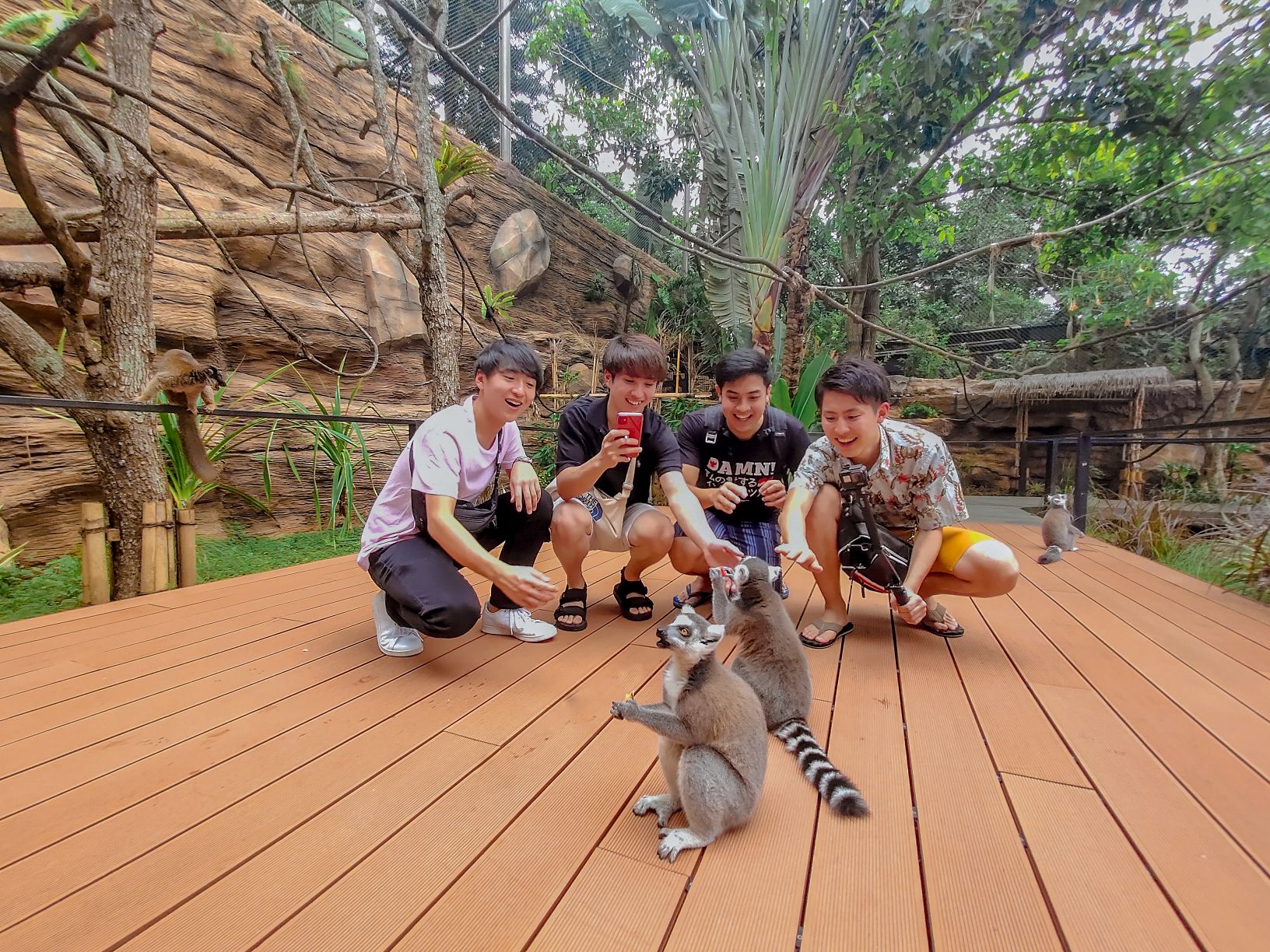 Lemur Kingdom memberikan kesempatan kepada setiap pengunjung untuk masuk ke area interaksi