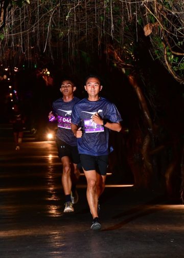 Fun Run Dino Night Run 2023