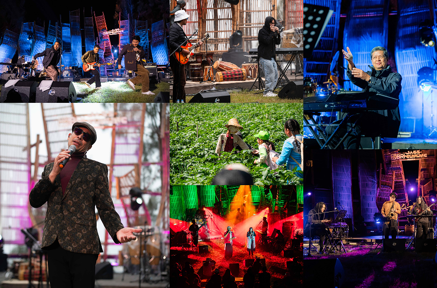 Photo Gallery Jazz Gunung Series 1 Bromo 2025 Cover