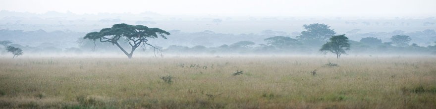 Baluruan National Park Resort Ijen