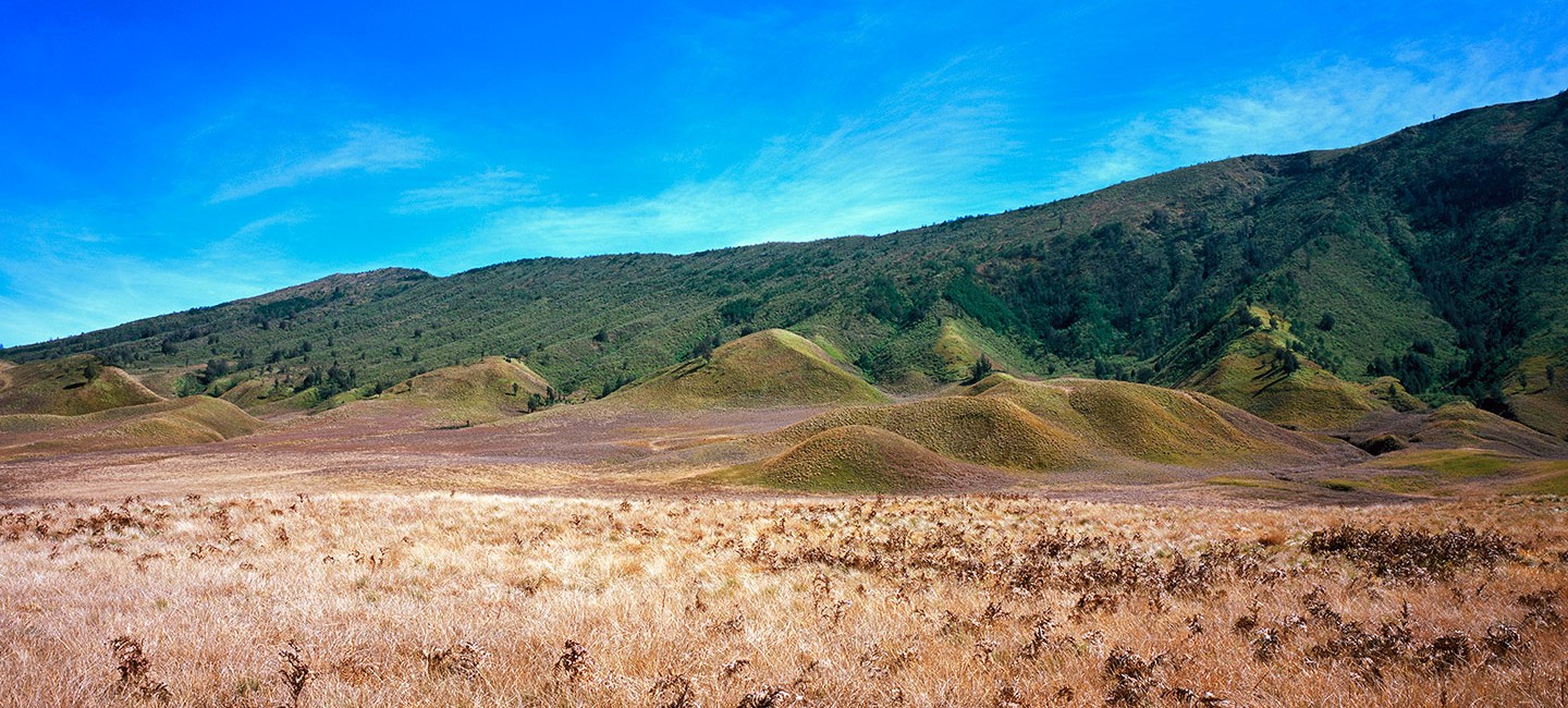 Bromo Image 3