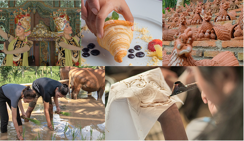 Exclusive Package The Sabin Activities