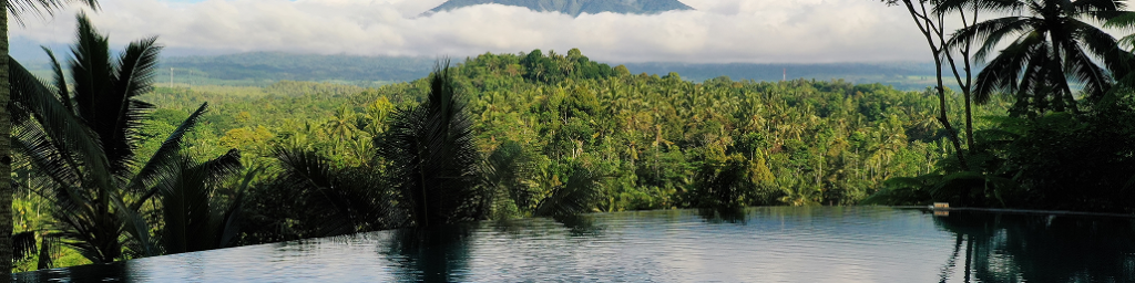 Infinity Pool Jiwa Jawa Resort Ijen