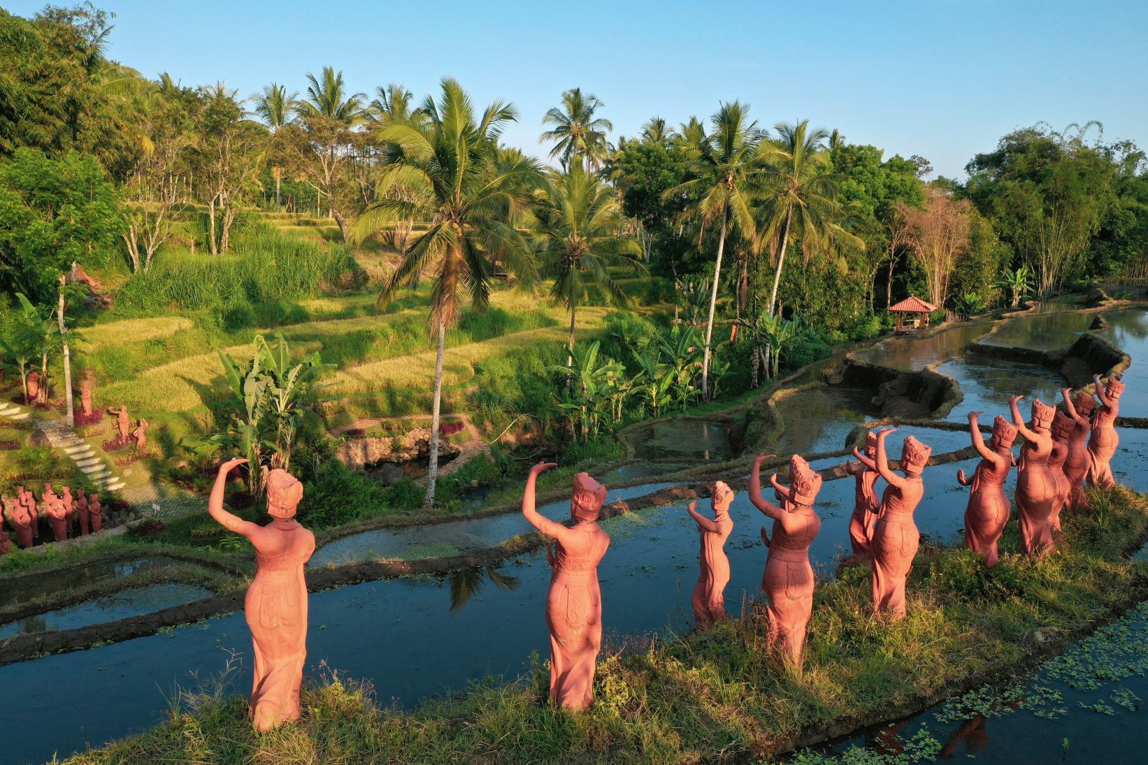 Jj The Sabin Contact