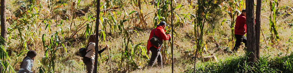 Trekking Bromo Activities
