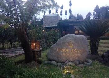 Menemukan Ketenangan Di Atas Awan Alasan Jiwa Jawa Resort Bromo Jadi Tempat Staycation Terbaik