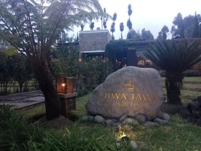 Menemukan Ketenangan di Atas Awan: Alasan Jiwa Jawa Resort Bromo Jadi Tempat Staycation Terbaik