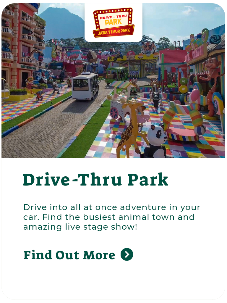 Eco Active Park
