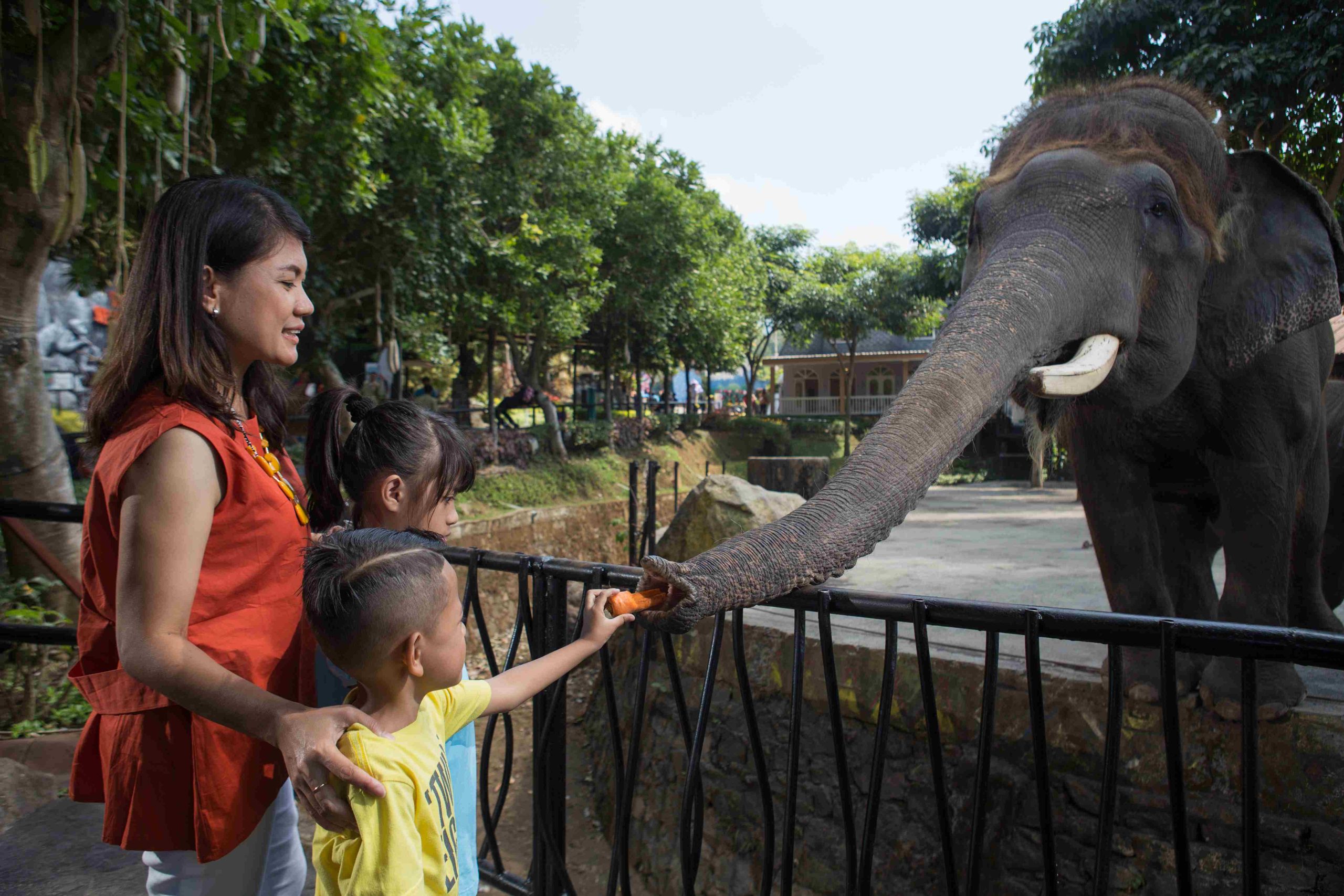 Rakornas Pkbsi Di Jawa Timur Park Group