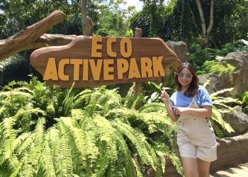 Rebranding Eco Active Park