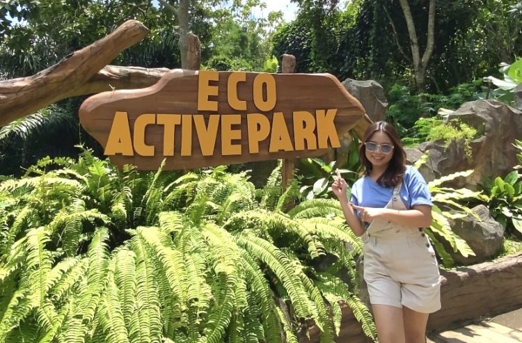 Rebranding Eco Active Park